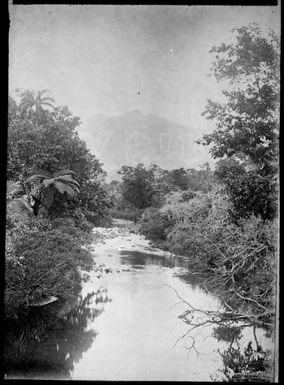 River winding through jungle, Fiji, ca. 1920, 3 / E.W. Searle