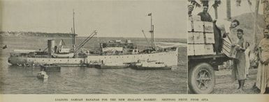 Loading Samoan bananas for the New Zealand market: shipping fruit from Apia