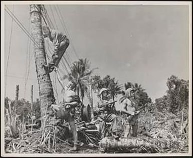 Marines, Bougainville