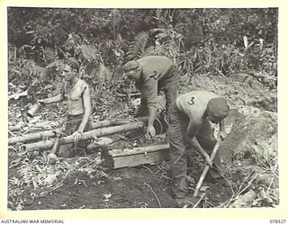 BOUGAINVILLE ISLAND, 1945-01-20. PERSONNEL OF "A" COMPANY, 42ND INFANTRY BATTALION SALVAGING A JAPANESE ARTILLERY PIECE WHICH THEY FOUND WHILE DIGGING A FOXHOLE WHILE CONSOLIDATING THEIR POSITIONS ..