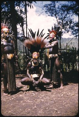 Fully decorated men (5) : The Tengerap Clan Singsing, Wahgi Valley, Papua New Guinea, 1954 / Terence and Margaret Spencer