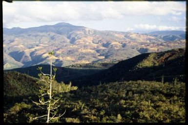 Nickel mining south of Neoua River