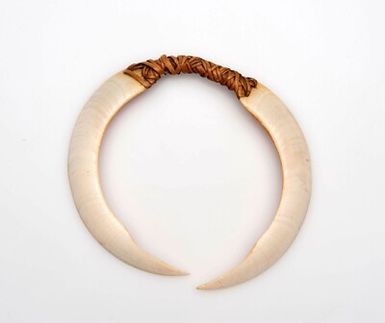 Breast decoration of pig tusks