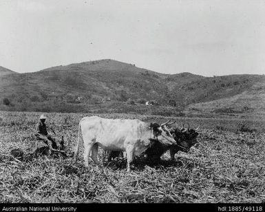 Tenant farms