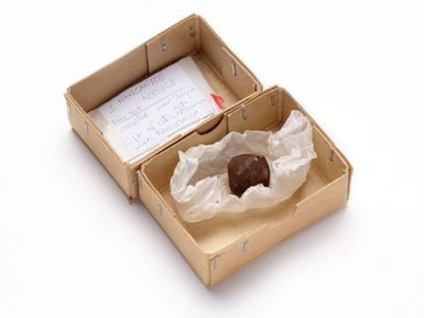 Manganese nodule (CILAMS donated)