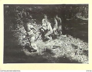 BOUGAINVILLE ISLAND. 1945-02-13. MEMBERS OF THE PIONEER PLATOON, 61ST INFANTRY BATTALION MANHANDLING LOGS DURING THE BUILDING OF THE KUPON- MOSIGETTA ROAD. IDENTIFIED PERSONNEL ARE:- Q102255 ..