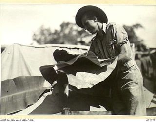 YAULA, NEW GUINEA. 1944-04-09. NX67682 SERGEANT M. ROCHAIX, A MEMBER OF THE 2ND MOUNTAIN BATTERY WATER PROOFING HIS SHELTER WITH BANANA LEAVES DURING THE DRIVE WITH THE 57/60TH BATTALION TO ..