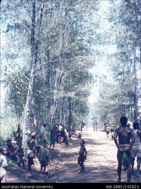 Road to Pugamil