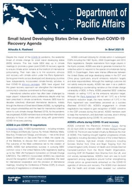Small Island Developing States Drive a Green Post-COVID-19 Recovery Agenda