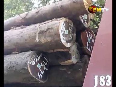 Protest Against Loggers