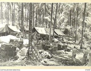 JACQUINOT BAY, NEW BRITAIN. 1944-11-18. ARMY CANTEEN SERVICE BULK STORE NO.6 IN THE PALMALMAL PLANTATION