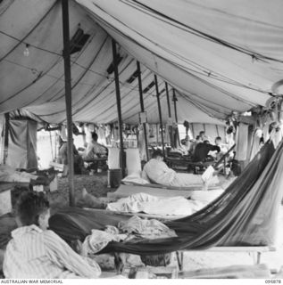 WIRUI BEACH, WEWAK AREA, NEW GUINEA. 1945-08-31. THE INTERIOR OF A TENT WARD, 2/1 FIELD AMBULANCE