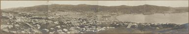 Wellington from Mount Victoria