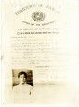 Certificate of Hawaiian Birth, Shigeru Ueda, 1910