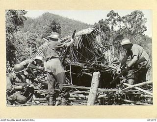 1943-07-31. ALLIED CAPTURE OF MUBO. AMERICANS AND AUSTRALIANS DURING MOPPING UP OPERATIONS IN A NATIVE VILLAGE NEAR NASSAU BAY AND FROM WHICH THE JAPS HAD BEEN FORCED TO FLEE, MAKE SURE THAT NO ..