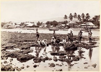 Coral Formation, Apia, Samoa