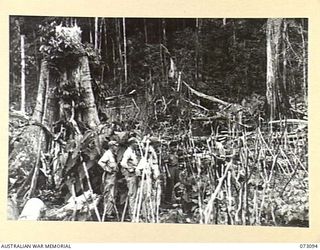 BASU RIVER VALLEY, NEW GUINEA. 1944-05-14. A GROUP OF AMERICAN SERVICEMEN BEING SHOWN A SECTION OF A CHINESE FARMING VILLAGE SITUATED APPROXIMATELY 7 MILES FROM LAE ON THE BANKS OF A CREEK. THE ..
