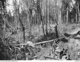 BOUGAINVILLE. 1945-05-21. SAPPER BILLINGS, 58 CORPS, FIELD PARK COMPANY (1), OPERATING A BULLDOZER DURING THE RECONSTRUCTION OF A SECTOR OF THE BUIN ROAD THROUGH EGAN'S RIDGE BY 15 FIELD PARK ..
