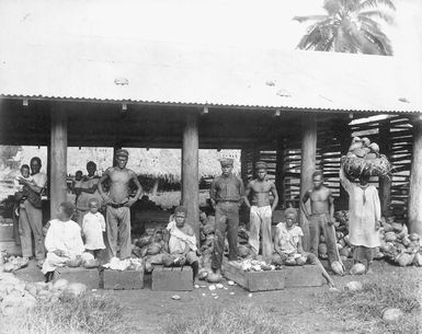 Copra cutting at Vaitele plantation