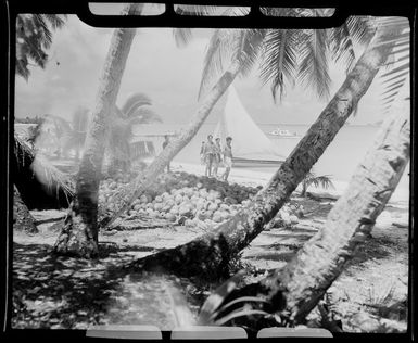 Locals on beach, Akaiami, Aitutaki, Cook Islands, showing palm trees and coconuts in foreground and boats in the lagoon