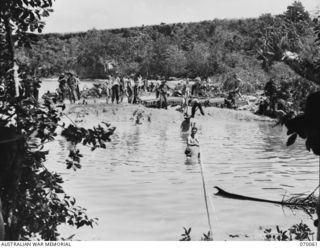 SIO, WEST NEW GUINEA. 1944-01-24. ENGINEERS OF THE 8TH FIELD COMPANY, ROYAL AUSTRALIAN ENGINEERS MEASURING A RIVER NEAR THE SIO MISSION PRIOR TO CONSTRUCTION OF AN 80 FT SPAN F.B.E. BRIDGE. THIS ..