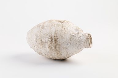 Taro (part 2 of Westminster)