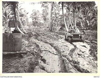 JACQUINOT BAY, NEW BRITAIN. 1944-12-07. DRIVER L. ROBINSON, HQ 5 DIVISION, (1), DRIVING A JEEP ALONG THE "ROAD" LEADING THROUGH THE MALMAL PLANTATION FROM THE MISSION TO THE HQ AT THE MALMAL ..