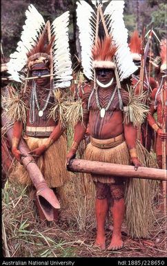 Elaborately dressed Febi drummers with intricate designs painted on their bodies prepare to participate in the end-of-year cultural activities at Koroba Provincial High School