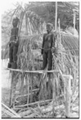 Fernwood 'ea figures sculpted by Arimae of Furi'ilae, 1979, on speaking platform on the occasion of the opening of the Kwaio Cultural Centre