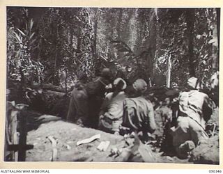 BOUGAINVILLE. 1945-04-05. TROOPS FIRING AT JAPANESE FROM SLATER'S KNOLL AFTER MATILDA TANKS HAD MOVED THROUGH TO CLEAR THE GULLY RUNNING WEST. SMOKE IN THE BACKGROUND IS FROM A 2-POUNDER TANK ..