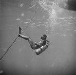 Diver follows a tow line at Alexa Bank, Samoa