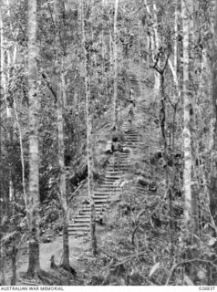 Soldiers and a native bearer climb the so-called Golden Stairs rising towards Imita Ridge. Each step was battened at its edge by a rough log. These were sometimes broken and therefore treacherous, ..