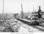 Logging crew on flatcars pulled by Shay locomotive, Aloha Lumber Company, ca. 1921