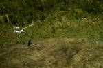 [Aerial view of small aircraft flying over newly cleared village food garden plot], Western Highlands, Mt Hagen sub-district, [Papua New Guinea], Feb 1961