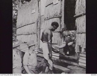 SOGERI VALLEY, NEW GUINEA. 1943-06-27. NEW GUINEA FORCE SCHOOL OF SIGNALS REGIMENTAL AID POST, SHOWING V30565 CORPORAL K. E. RECHNER TREATING NATIVE'S LEG, WHILE WAITING THEIR TURN ARE QX28497 ..