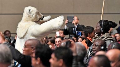 COP23 climate change summit begins in Bonn