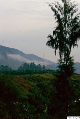 ["fotografi, photograph"]