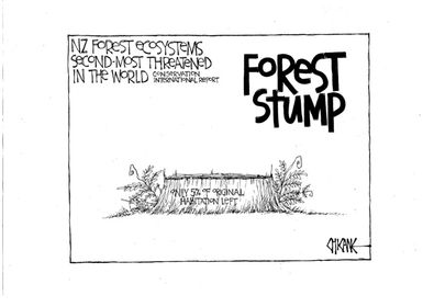 Forest stump - NZ forest ecosystems second most threatened in the world - Conservation International report. 5 February 2011