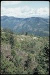 Houses belonging to Mai and Ndikai, with gardens in foreground and on mountains in distance