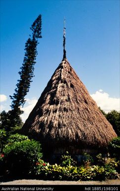 New Caledonia - Nouméa North - thatched roof of building