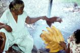 Native woman cooking breadfruit, Rongelap Island, August 24, 1964