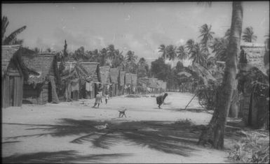 The village in black and white: note coils of pandanus leaf for mat-making (2) : Mortlock Islands, Papua New Guinea, 1960 / Terence and Margaret Spencer