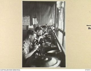 LAE, NEW GUINEA. 1944-05-24. VX38855 LIEUTENANT G.R. WIGNALL (1), WITH V501563 PRIVATE R. JENKINS (2), AND NX161161 PRIVATE J.M. GARTH (3), EXAMINING MICROSCOPIC SPECIMENS IN THE PATHOLOGY ..