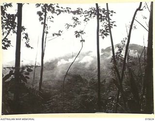 1943-08-30. NEW GUINEA. THE ASSAULT ON MOUNT TAMBU. SMOKE BOMBS BURSTING ON THE MOUNTAIN. THESE BOMBS WERE USED TO ENABLE ACCURACY ON FIRE TO BE OBSERVED. (NEGATIVE BY H. DICK)