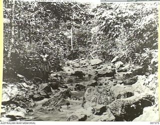 A Papuan native (left) standing on a rock on the edge of Wapik Creek