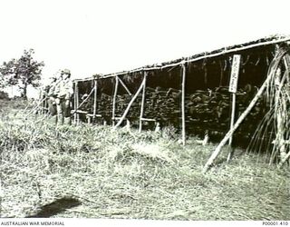 NEW IRELAND, 1945-10. A STORE OF JAPANESE RIFLES BEING HELD UNDER THE WATCHFUL EYES OF THREE SELECTED JAPANESE SOLDIERS. (RNZAF OFFICIAL PHOTOGRAPH.)