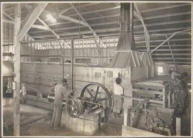 [Coconut factory with four men working plant machinery] Frank Hurley