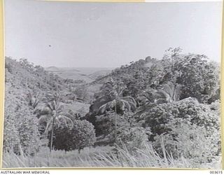 PORT MORESBY - TYPICAL NEW GUINEA COUNTRY. HILLS, VALLEYS, PROLIFIC GROWTH, SEA IN DISTANCE. (NEGATIVE BY N. TRACY)