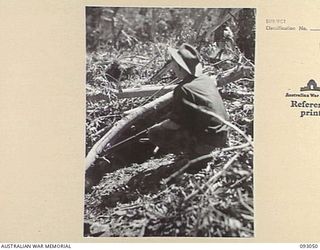 WEWAK AREA, NEW GUINEA, 1945-06-11. IMMEDIATELY AFTER TAKING A FEATURE, TROOPS OF 2/8 INFANTRY BATTALION TAKE UP POSITIONS. THIS SHOT SHOWS RIFLEMAN ON THE EDGE OF A SLIT TRENCH CONTAINING DEAD ..