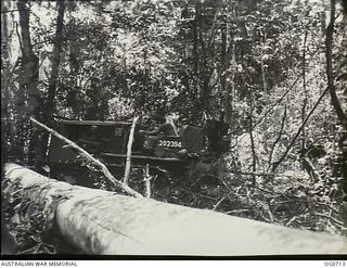 NADZAB, NEW GUINEA. C. 1944-02. A TRACTOR DRIVEN BY LEADING AIRCRAFTMAN B. L. WALKER OF DANDENONG, VIC, HAULS LOGS THROUGH THE JUNGLE TO SAWMILLS WHERE PERSONNEL OF NO. 62 MOBILE WORKS SQUADRON ..